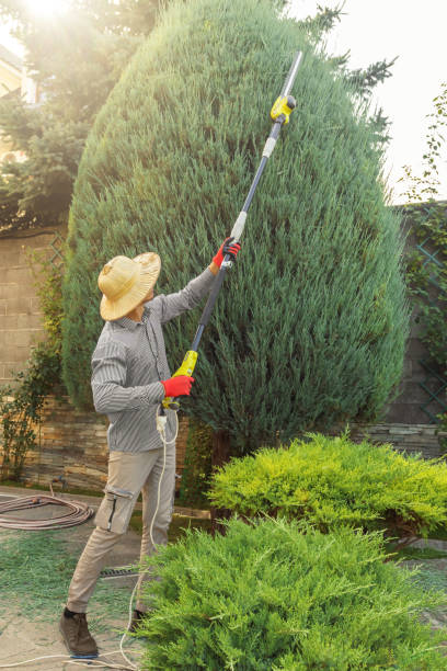 Lawn Grading and Leveling in Arcadia, CA